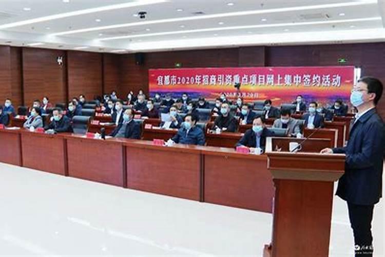 种植茶叶有什么技术？