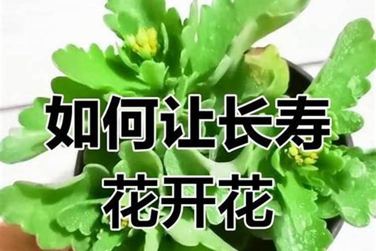 品牌叫果美,做水果电商,定位高端,想要一些高端大气上档次的广告语(sloga...