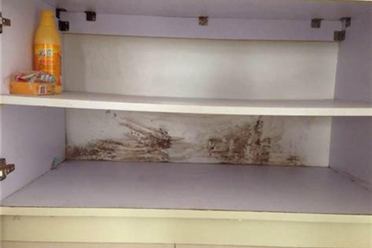 小麦一生需要多少肥料,分几次追施为好？