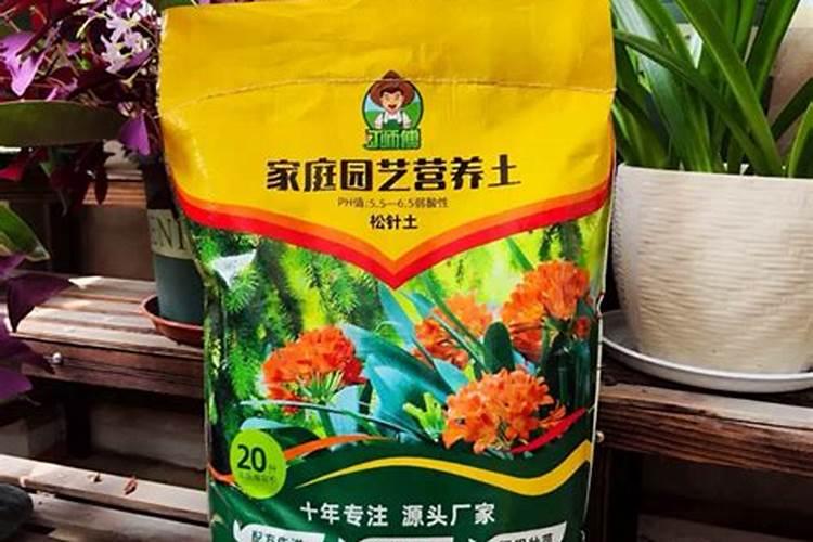 芦荟需要什么肥料养的好