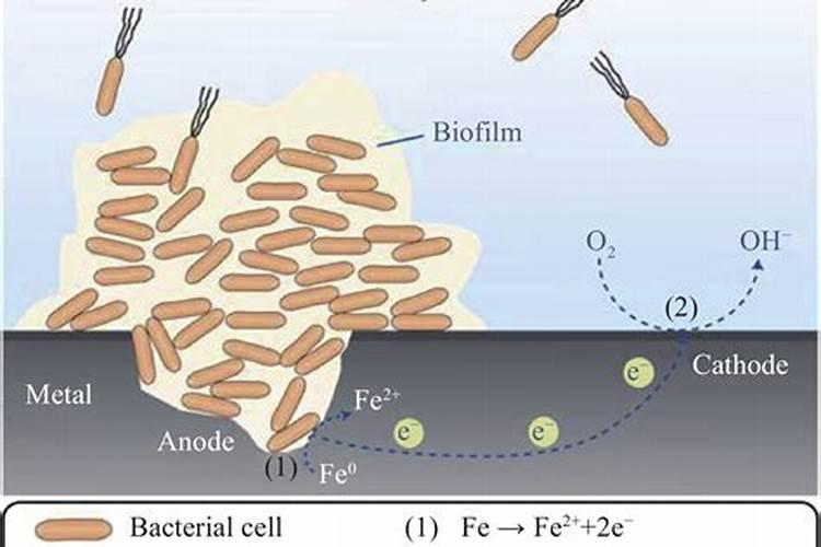 什么是 腐熟液肥
