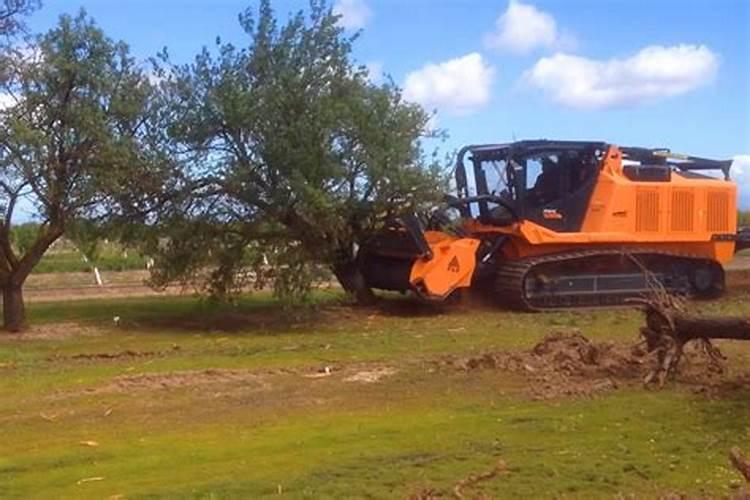 馒头可以做肥料吗