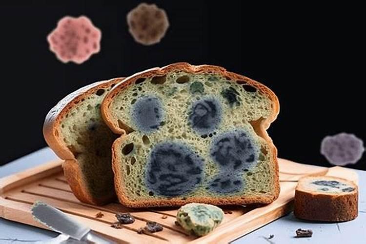 馒头可以做肥料吗