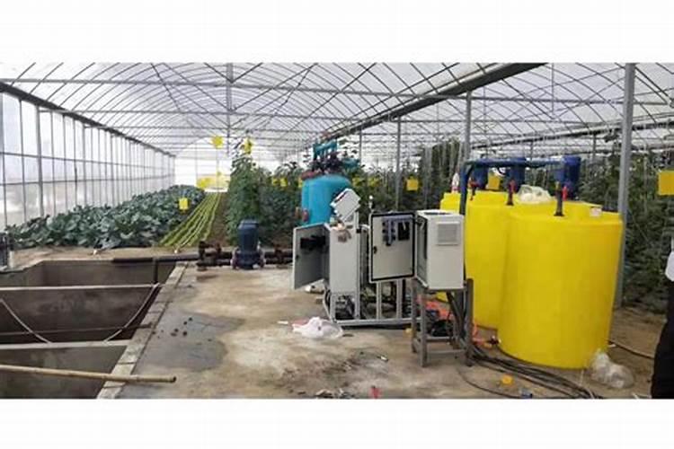 水溶肥什么品牌好？