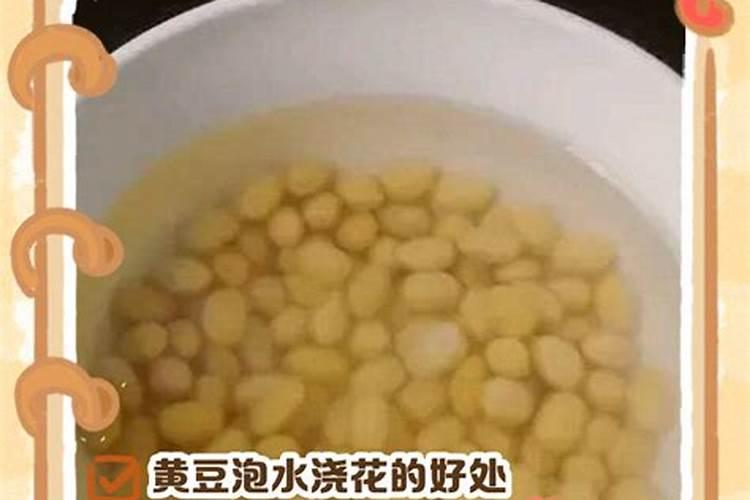 泡黄豆的水能浇花吗