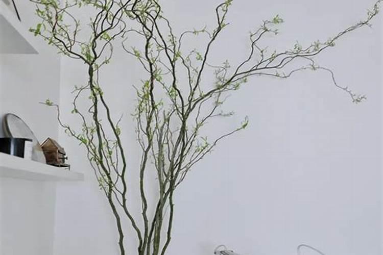 草可以直接埋土里做肥料吗