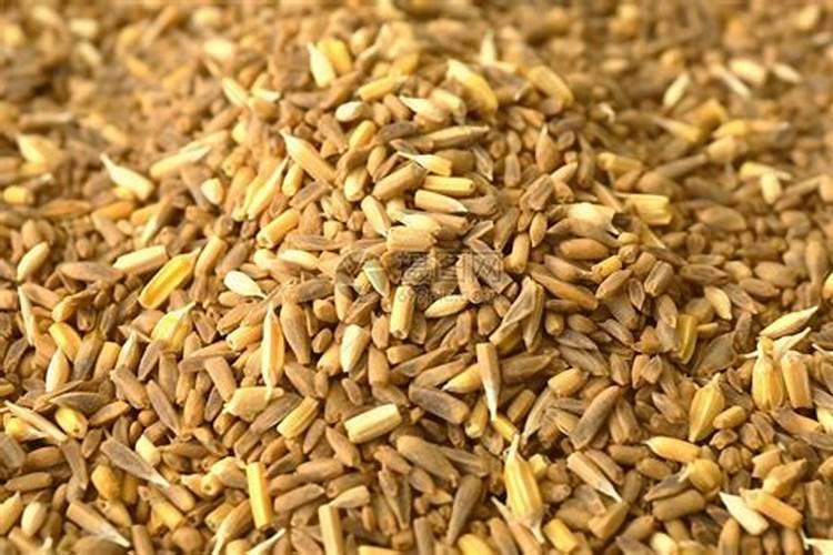 草可以直接埋土里做肥料吗