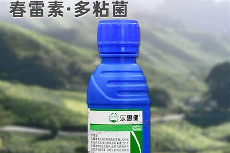 关于多粘菌素e,你知道多少？