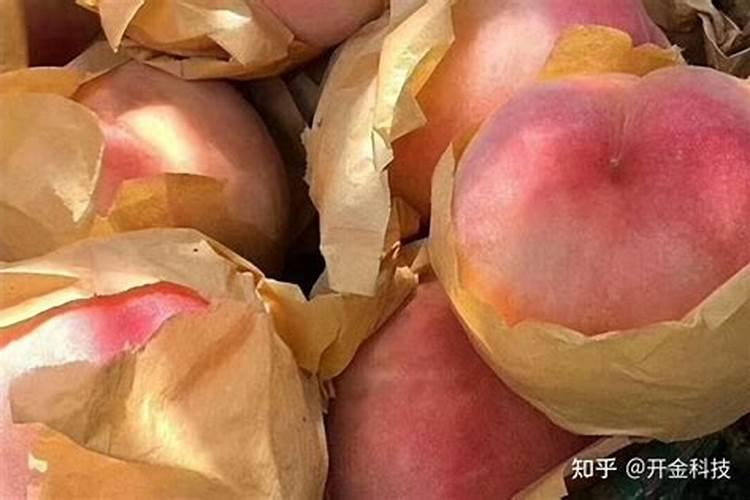 桃子坐果后怎么施肥