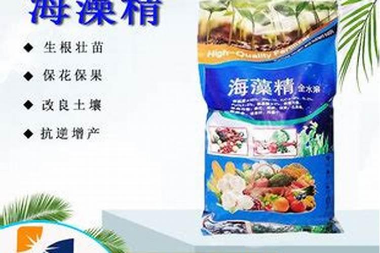 山东恩宝肥料靠谱吗