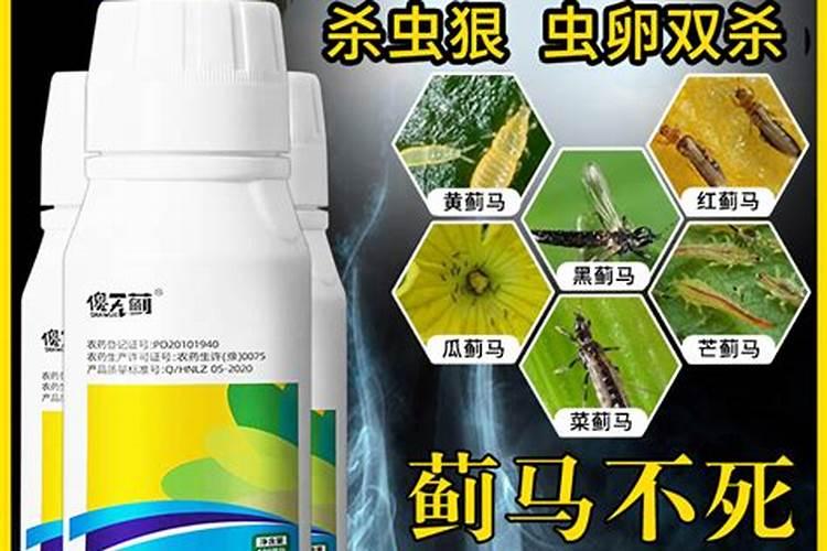 苹果树刚打完药第二天在打叶面肥可以打吗