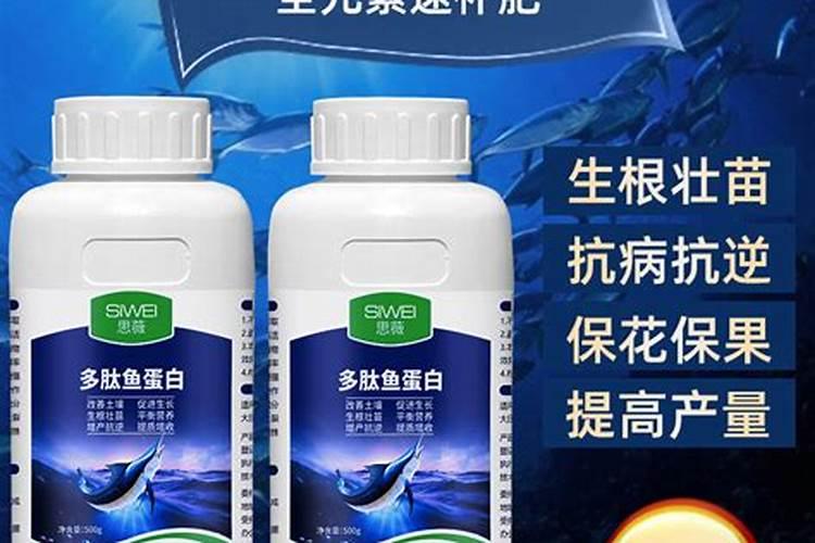 海藻肥和鱼蛋白肥哪个好 海藻肥的优缺点