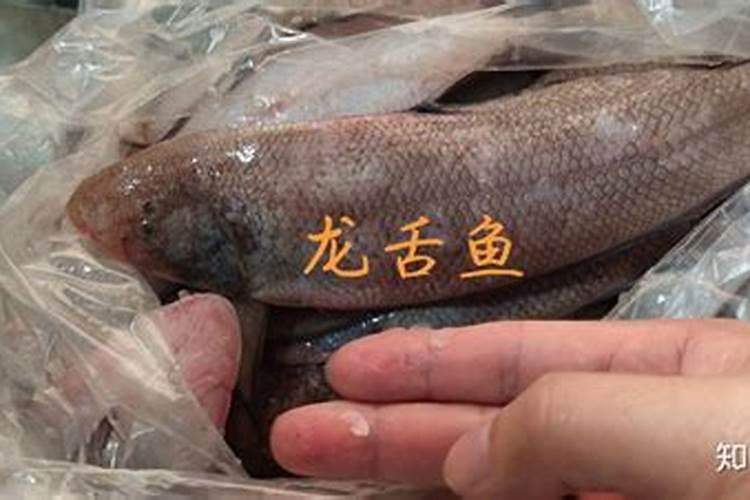 龙利鱼是海鱼还是淡水鱼？