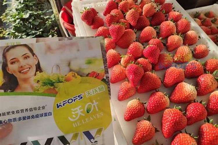 葫芦打什么药好