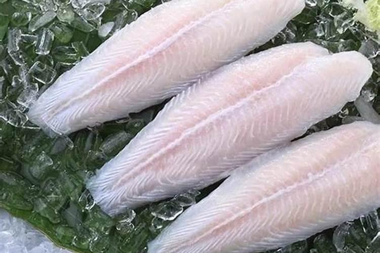 鱼类蛋白质含量为多少？