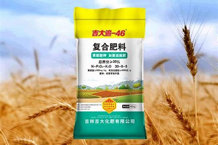 一盆吊兰放几粒复合肥