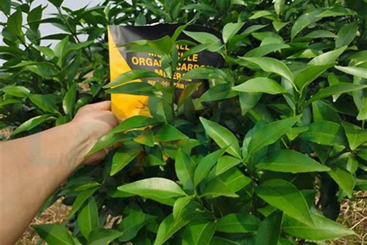 矿源黄腐酸钾是酸性还是碱性？矿源黄腐酸钾怎么使用肥效高