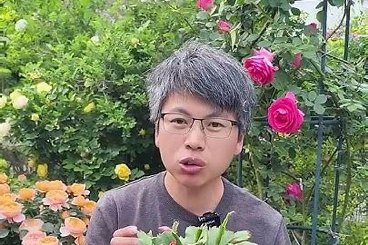 催花用什么肥 如何给蟹爪兰催花蕾