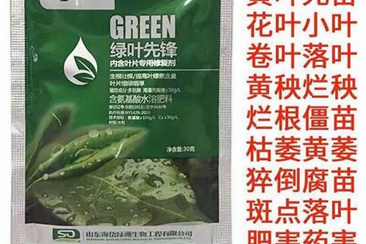 绿叶菜栽培中如何使用叶面肥？