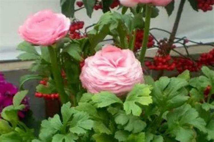 防身辣椒水的溶剂是什么,辣椒素不是不会溶解在水中吗