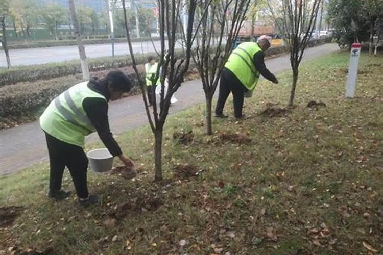 磷肥可以直接撒在地上吗