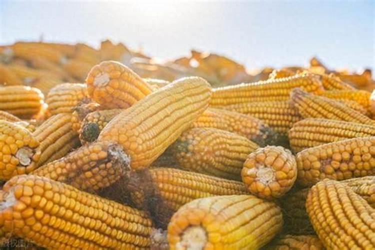 简述提高农田磷肥利用率的主要措施