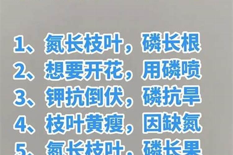 钾肥和氮肥的怎么区分