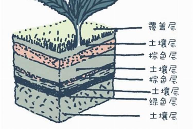 堆肥的材料有哪些