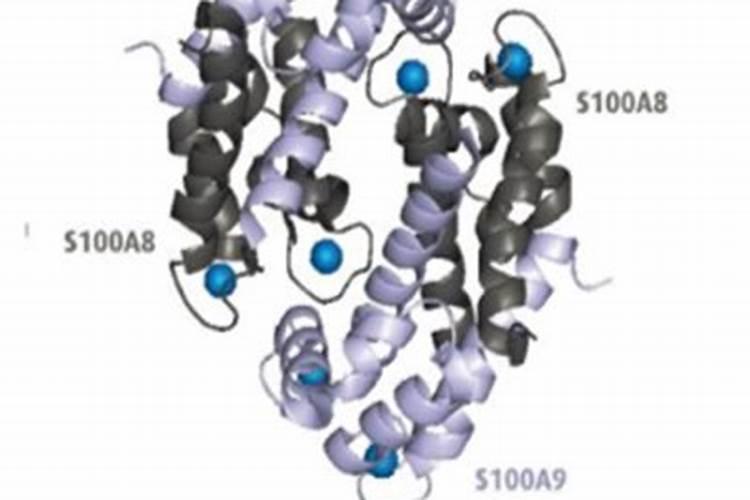 种花生用什么肥料最好