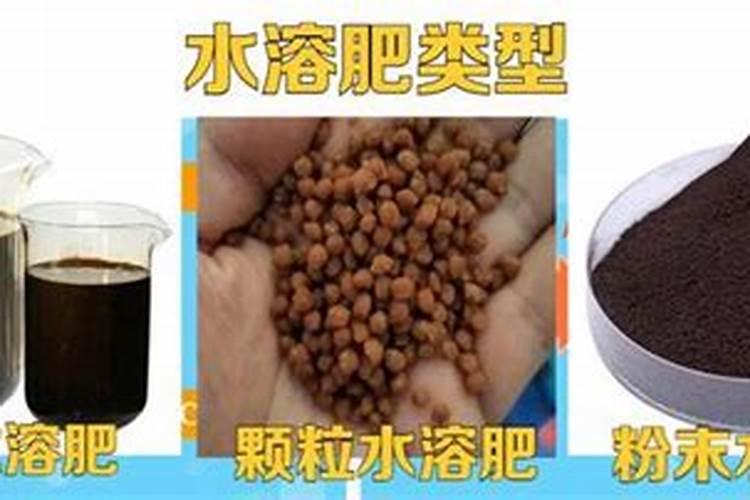 冲施肥与水溶肥的区别
