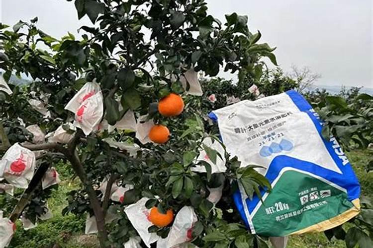 什么肥可以让植物多结籽？