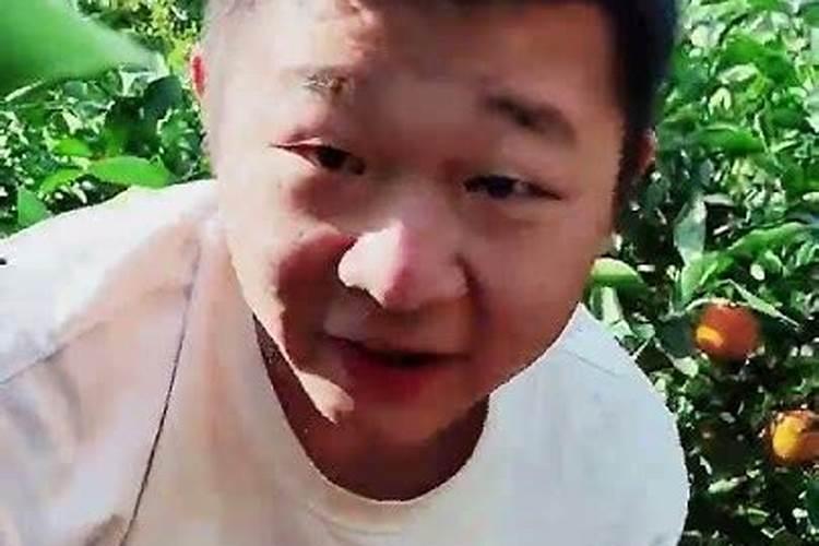 脐橙全年施肥时间表