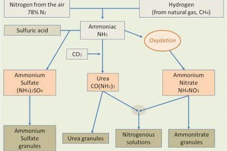 硝酸盐是什么肥料