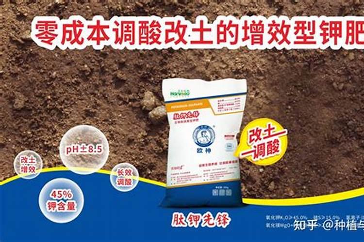 什么是铵态氮肥