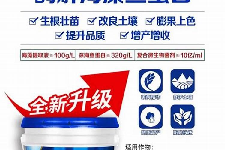 富贵叶花卉怎样养