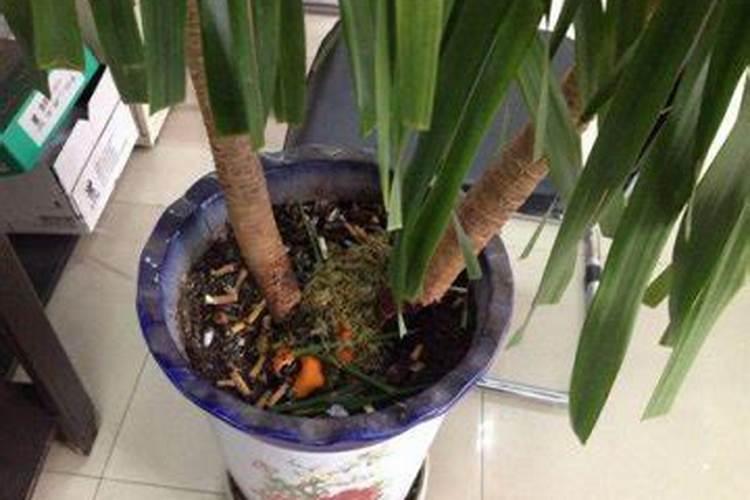 氯化钾可以做肥料吗