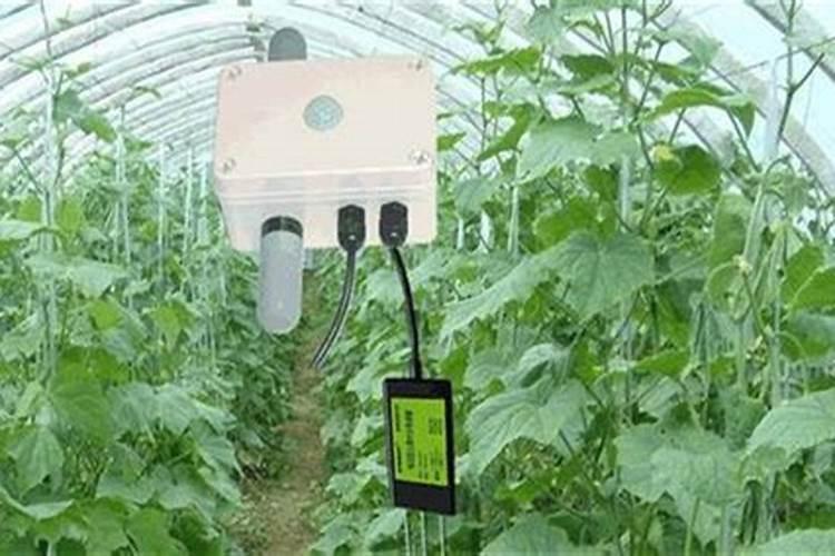 怎样施用二氧化碳气肥