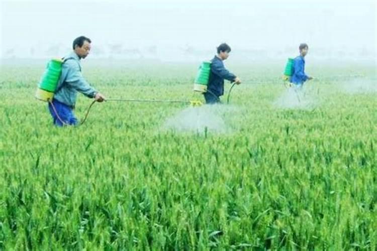 人工施用二氧化碳气肥常用的方法有哪几种？