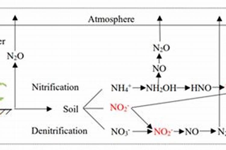 初中化学氮肥的简易鉴别今天急需,快!