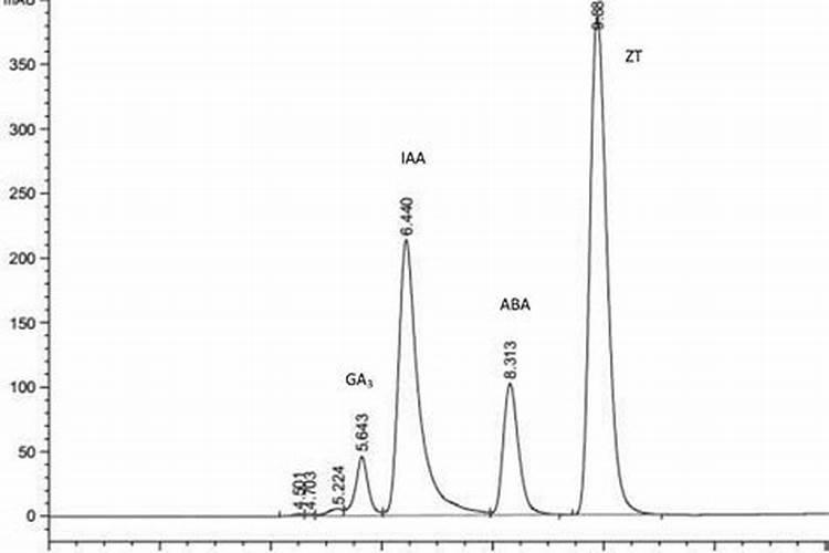 枣树用什么叶面肥增产、着色效果最好,应该什么时候用？