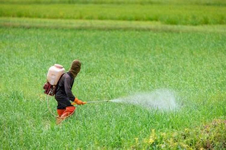 氮肥、磷肥、钾肥各是适用哪些状况的植物？