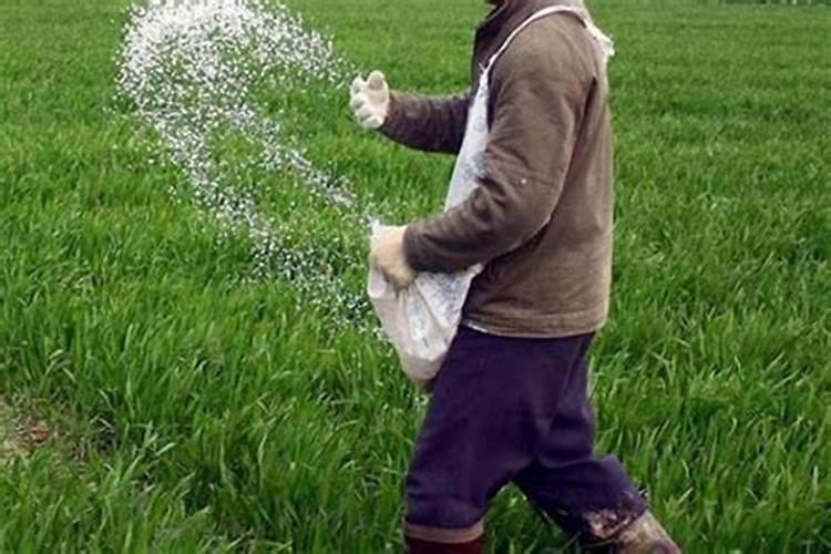 氮肥、磷肥 和钾肥分别有什么作用？
