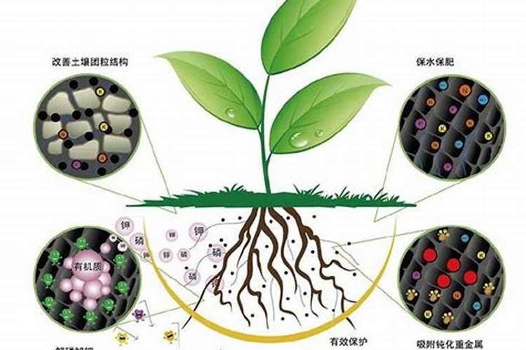 罗布泊硫酸钾对农业绿色发展有何意义？