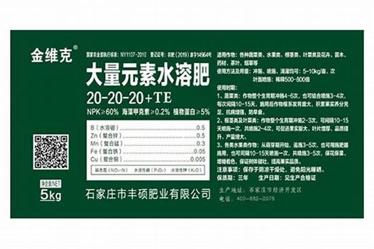 玉米发芽是什么意思？