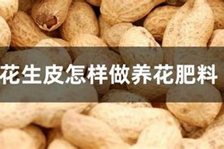 花生壳怎样发酵做肥料