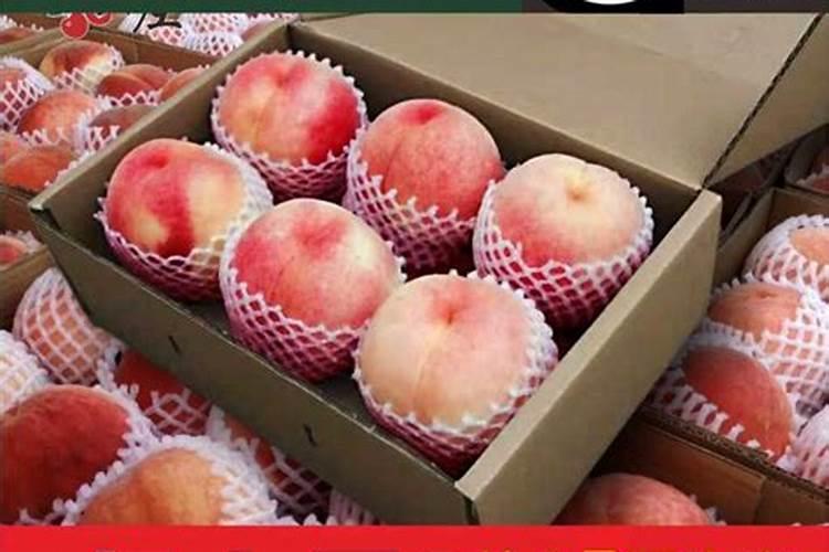 桃山东哪里产的最好吃又便宜