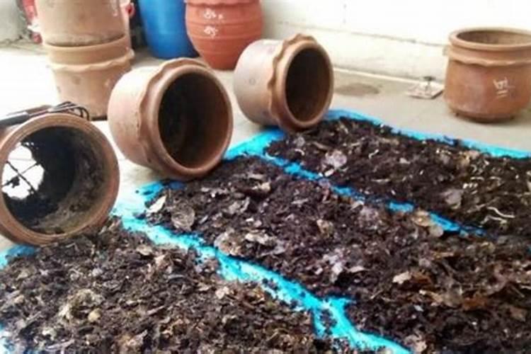 如何自己做养花的肥料