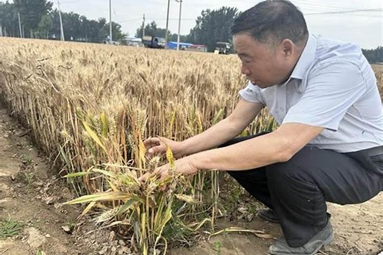 晋开集团有那些化肥厂