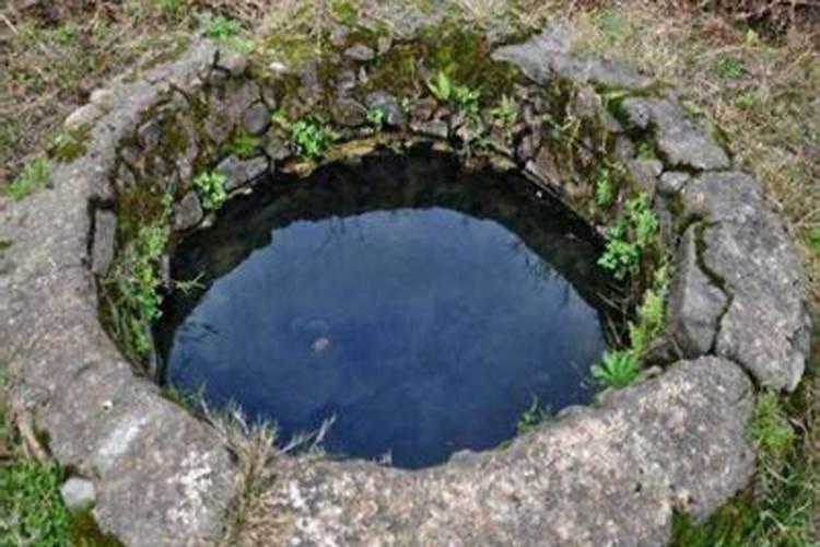 氮肥磷肥 在我们日常生活中在什么里含有这两种肥料？