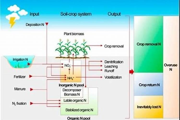 含腐植酸水溶肥的科学使用与注意事项？？